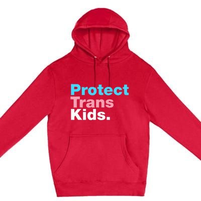 Lgbt Support Protect Lgbt Pride Premium Pullover Hoodie