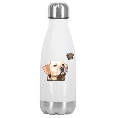 Labrador School Photo T Funny Yellow Lab Stainless Steel Insulated Water Bottle