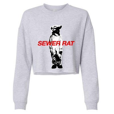 Limited Sewer Rat Franklin Jonas Cropped Pullover Crew