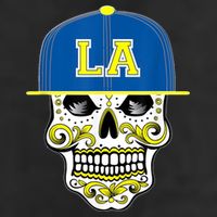 LA Sugar Skull Adult Drive Performance Visor