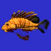 Lionfish Save The Tropical Ocean Reef Coral Lion Fish Gift Womens T-Shirt