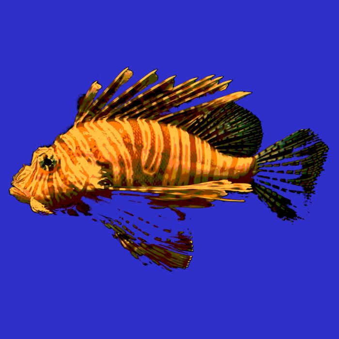 Lionfish Save The Tropical Ocean Reef Coral Lion Fish Gift Womens T-Shirt