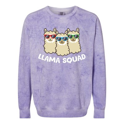 Llama Squad Team Llama Matching Sunglasses Love Llamas Colorblast Crewneck Sweatshirt