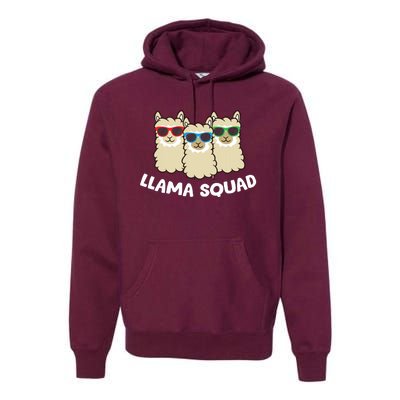 Llama Squad Team Llama Matching Sunglasses Love Llamas Premium Hoodie