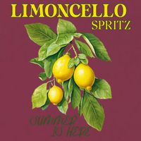 Limoncello Spritz X Lemon Liqueur Lemon Liqueur Lemon 16oz Travel Tumbler