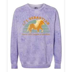 Lil Sebastian Youre 5000 Candles In The Wind Horse Fan Colorblast Crewneck Sweatshirt