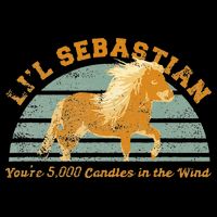 Lil Sebastian Youre 5000 Candles In The Wind Horse Fan Cooling Performance Crew T-Shirt