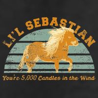 Lil Sebastian Youre 5000 Candles In The Wind Horse Fan Adult Drive Performance Visor