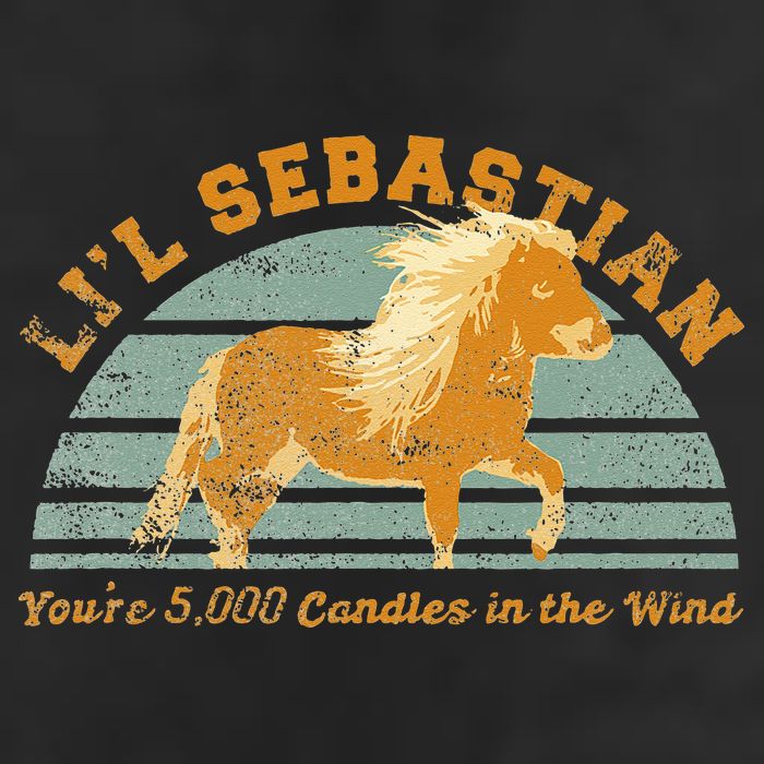 Lil Sebastian Youre 5000 Candles In The Wind Horse Fan Adult Drive Performance Visor