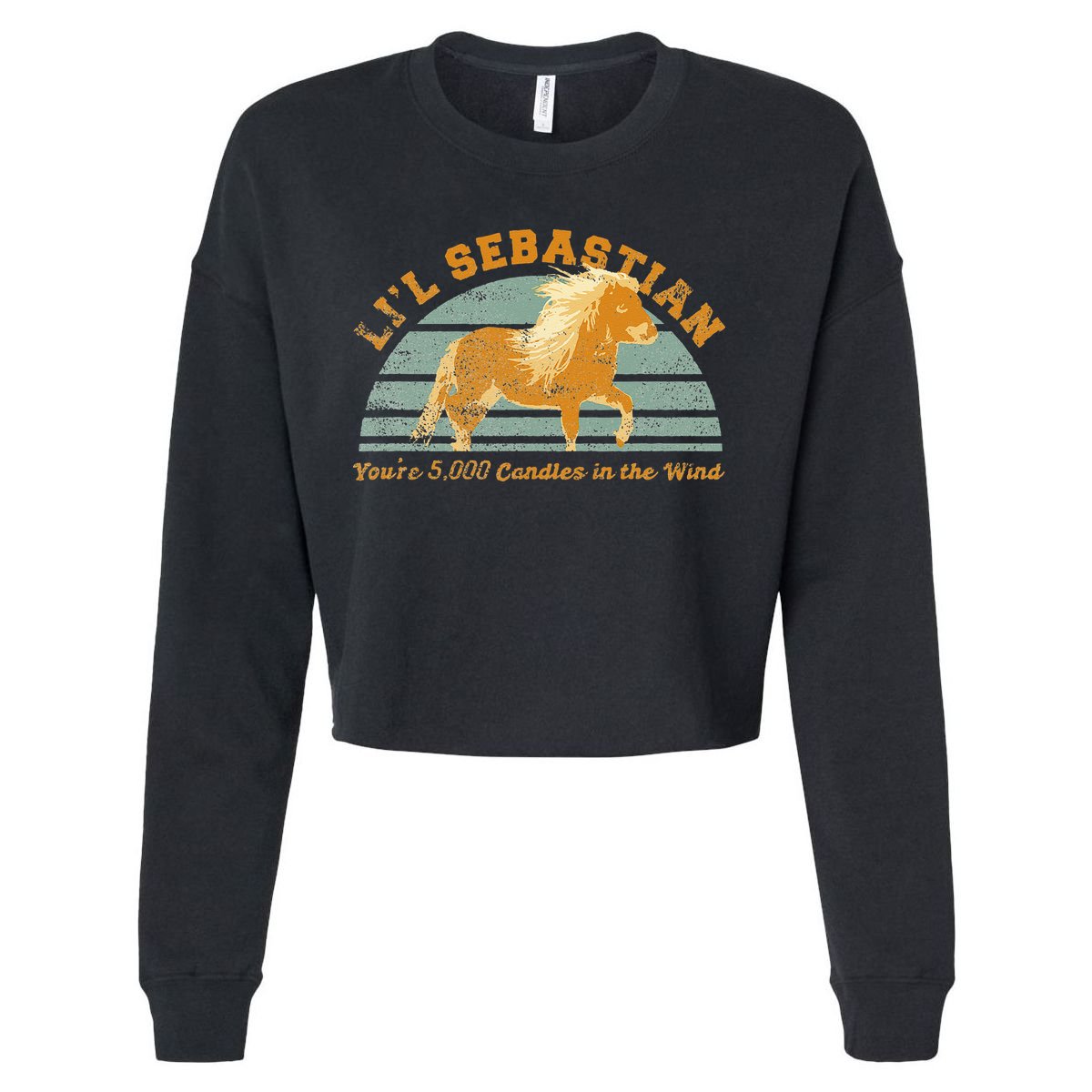 Lil Sebastian Youre 5000 Candles In The Wind Horse Fan Cropped Pullover Crew