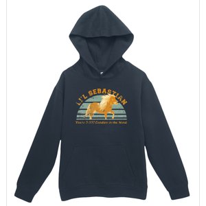 Lil Sebastian Youre 5000 Candles In The Wind Horse Fan Urban Pullover Hoodie