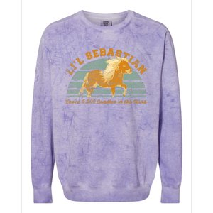 LiL Sebastian YouRe 5000 Candles In The Wind Horse Fan Colorblast Crewneck Sweatshirt