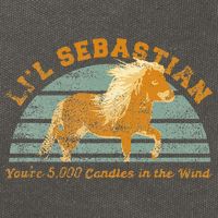 LiL Sebastian YouRe 5000 Candles In The Wind Horse Cotton Canvas Backpack
