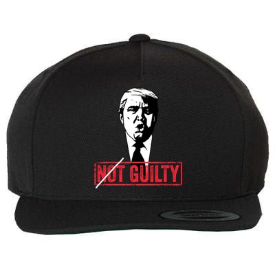 Legend Trump 2024 Gift Not Not Guilty Anti Trump Gift Wool Snapback Cap