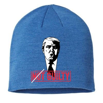 Legend Trump 2024 Gift Not Not Guilty Anti Trump Gift Sustainable Beanie