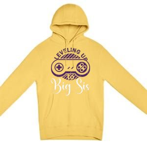 Leveling To Big Sis Big Sis Little Bro Designs Cute Gift Premium Pullover Hoodie