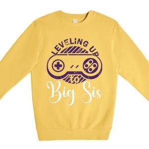 Leveling To Big Sis Big Sis Little Bro Designs Cute Gift Premium Crewneck Sweatshirt