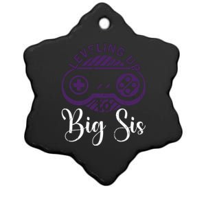 Leveling To Big Sis Big Sis Little Bro Designs Cute Gift Ceramic Star Ornament