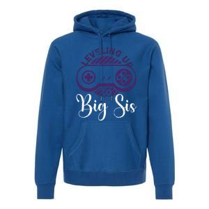 Leveling To Big Sis Big Sis Little Bro Designs Cute Gift Premium Hoodie