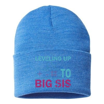 Leveling To Big Sis Big Sis Little Bro Designs Funny Gift Sustainable Knit Beanie