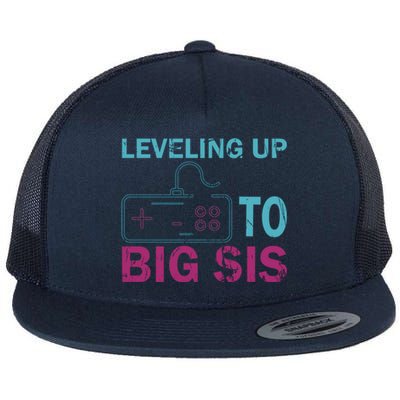 Leveling To Big Sis Big Sis Little Bro Designs Funny Gift Flat Bill Trucker Hat