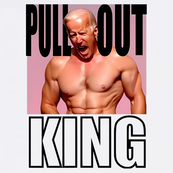 Limited Teenhearts Biden Pull Out King Poster