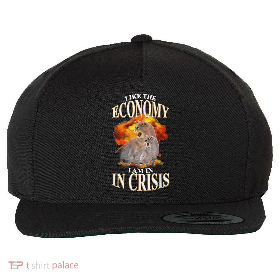 Like The Economy I Am In Crisis Cat Meme Cats Wool Snapback Cap