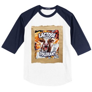 Lactose Tolerant Funny Cow Dairy Lover Funny Meme Baseball Sleeve Shirt