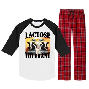 Lactose Tolerant Funny Cow Raglan Sleeve Pajama Set