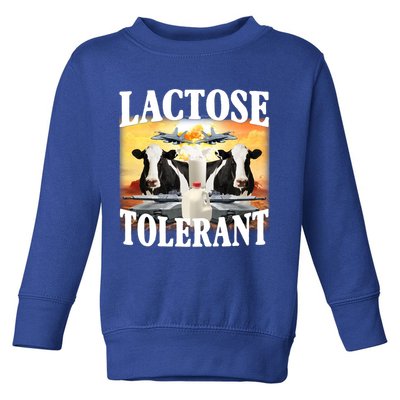 Lactose Tolerant Funny Cow Toddler Sweatshirt