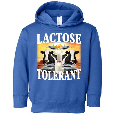 Lactose Tolerant Funny Cow Toddler Hoodie