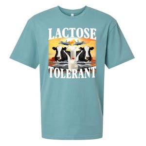 Lactose Tolerant Funny Cow Sueded Cloud Jersey T-Shirt