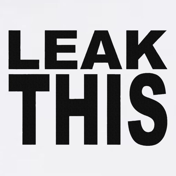Leak This Funny Mug