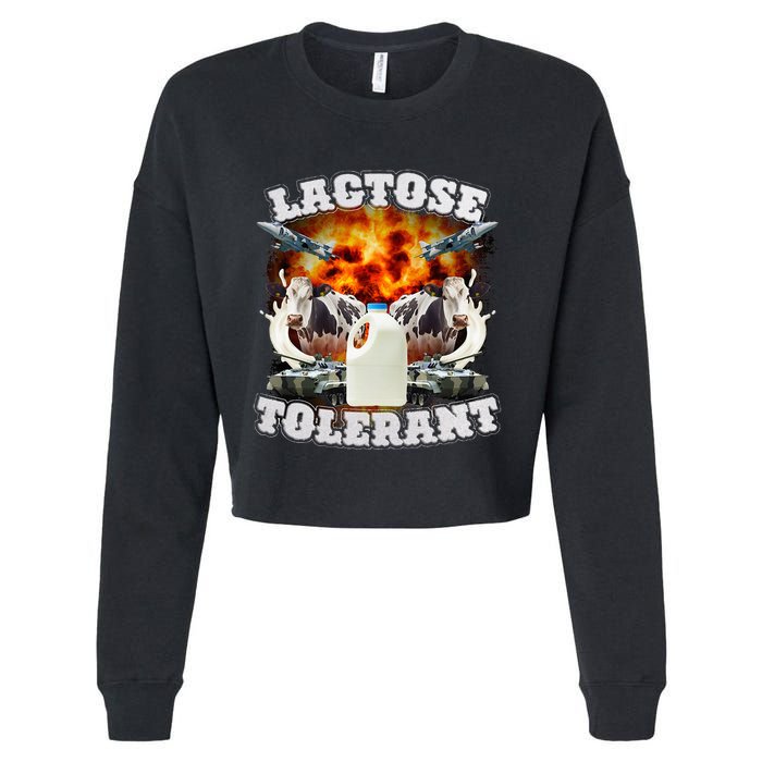 Lactose Tolerant Funny Trending Meme Cropped Pullover Crew