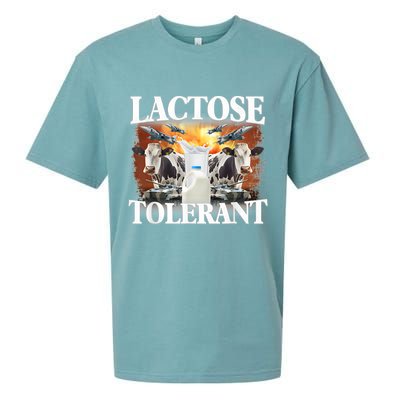 Lactose Tolerant Funny Trending Meme Sueded Cloud Jersey T-Shirt