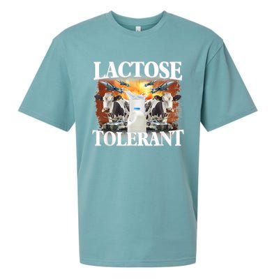 Lactose Tolerant Funny Trending Meme Sueded Cloud Jersey T-Shirt