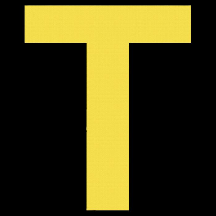 Letter T Funny Chipmunk Group Matching Halloween Costume 16 in Basic Backpack