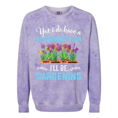 Love To Garden Retirement Plan Gardening Gardener Gift Colorblast Crewneck Sweatshirt