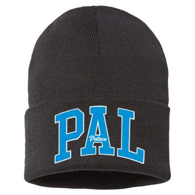 Louis Tomlinson Gap X Palace Sustainable Knit Beanie