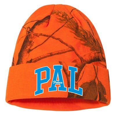 Louis Tomlinson Gap X Palace Kati Licensed 12" Camo Beanie