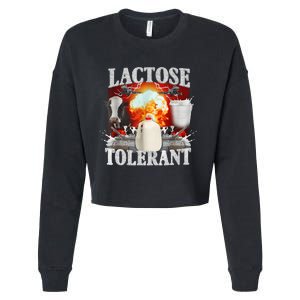 Lactose Tolerant Cropped Pullover Crew