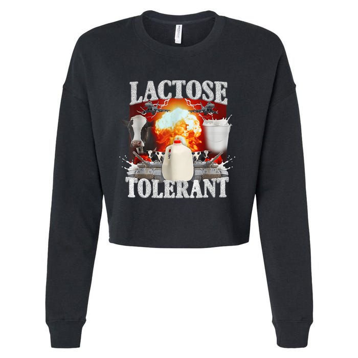 Lactose Tolerant Cropped Pullover Crew