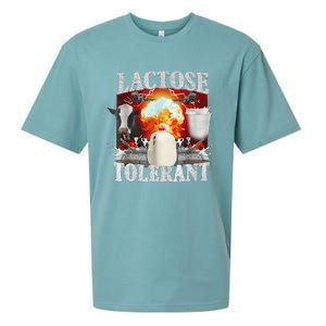 Lactose Tolerant Sueded Cloud Jersey T-Shirt