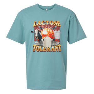 Lactose Tolerant Sueded Cloud Jersey T-Shirt