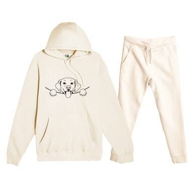 Labrador T Lab Dog Yellow Black Labrador Retriever Premium Hooded Sweatsuit Set