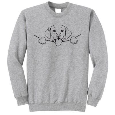 Labrador T Lab Dog Yellow Black Labrador Retriever Tall Sweatshirt