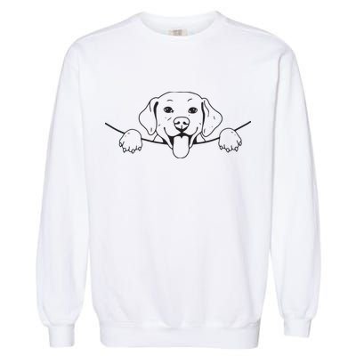 Labrador T Lab Dog Yellow Black Labrador Retriever Garment-Dyed Sweatshirt