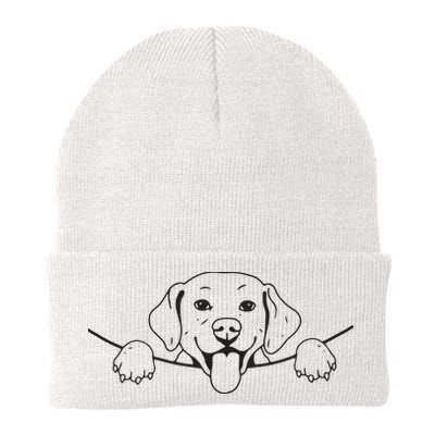 Labrador T Lab Dog Yellow Black Labrador Retriever Beanie