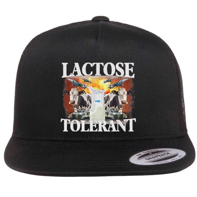 Lactose Tolerant Meme Funny Oddly Specific Dank Meme Flat Bill Trucker Hat