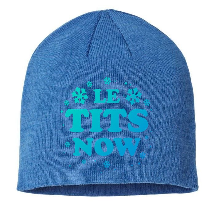 Le Tits Now Let It Snow Funny Christmas Winter Xmas Wordplay Gift Sustainable Beanie